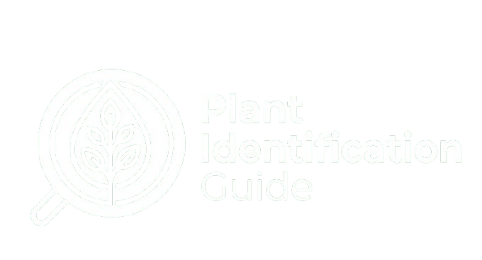Plant Identification Guide