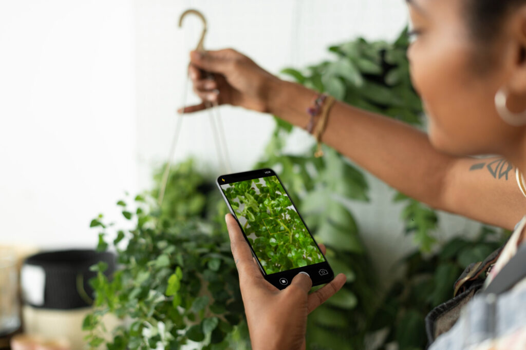 Plant Identification Guides