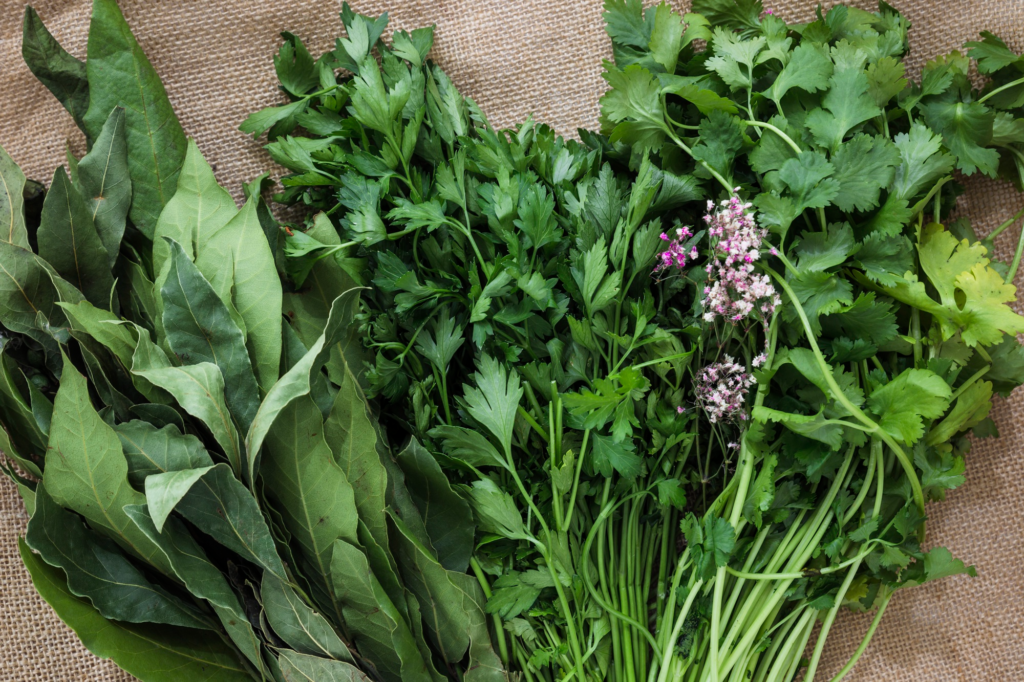 Herb Identification