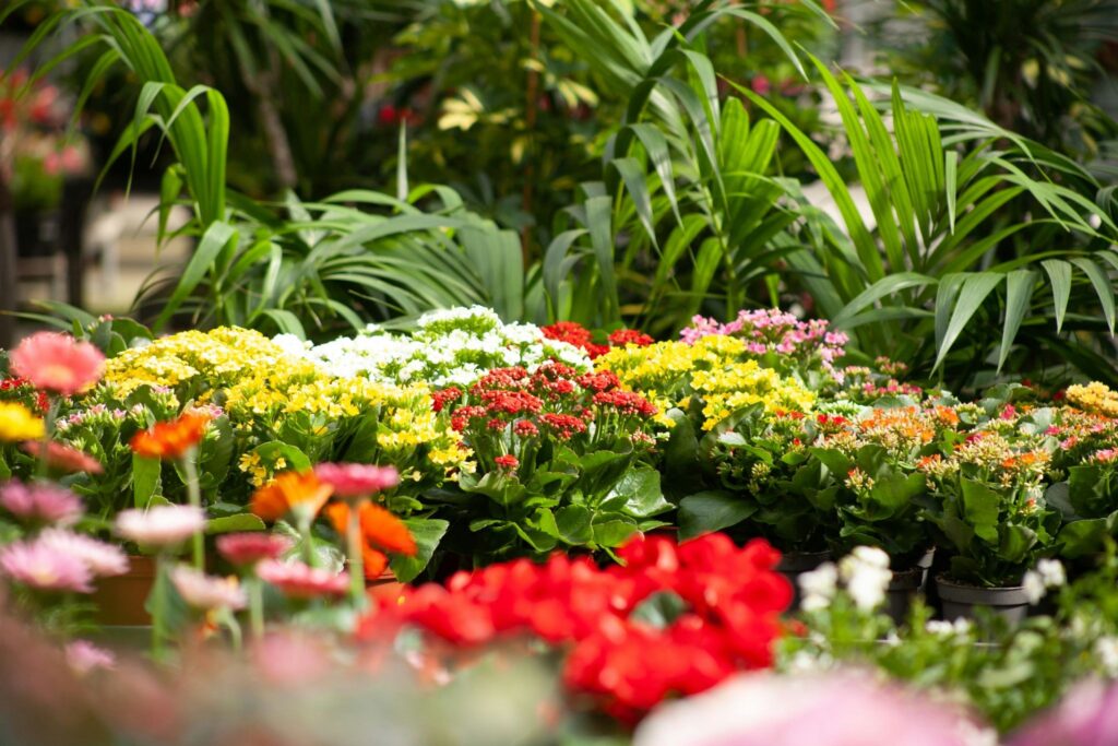 Plant & Gardening Blog