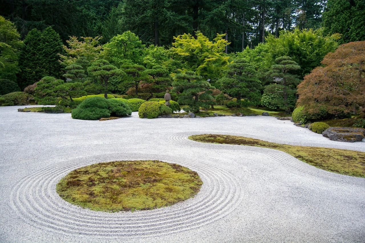 Best Trees for Landscaping